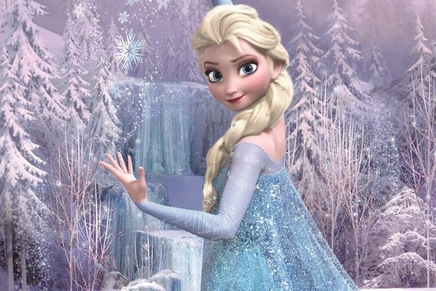Elsa e i principi di “economicità ed efficacia”